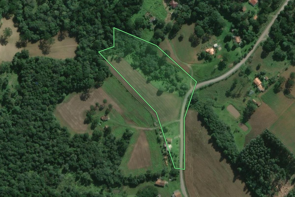 Imagem de satélite do imóvel rural em São Mateus do Sul (PR), com o contorno declarado no CAR desenhado por cima.