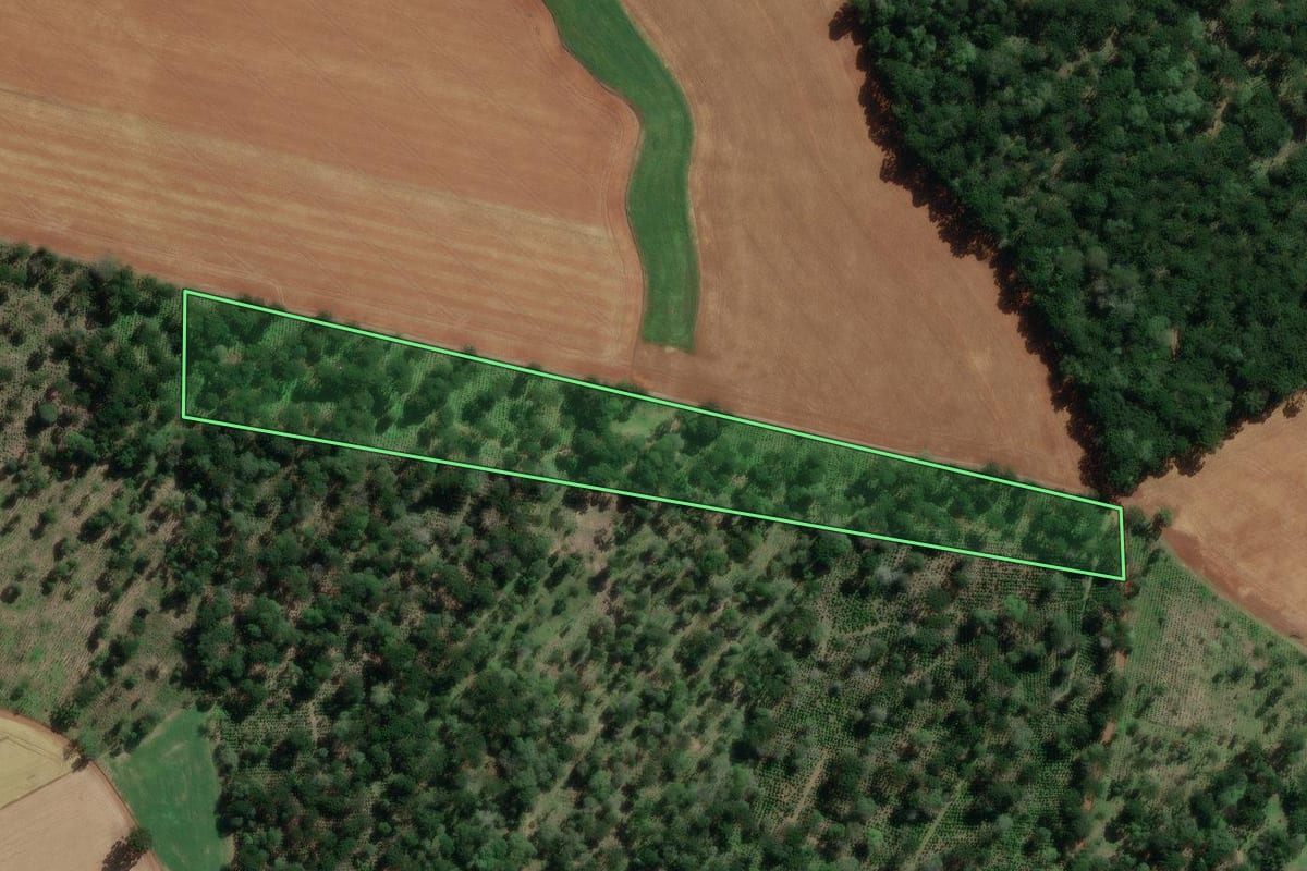Imagem de satélite do imóvel rural em São Mateus do Sul (PR), com o contorno declarado no CAR desenhado por cima.