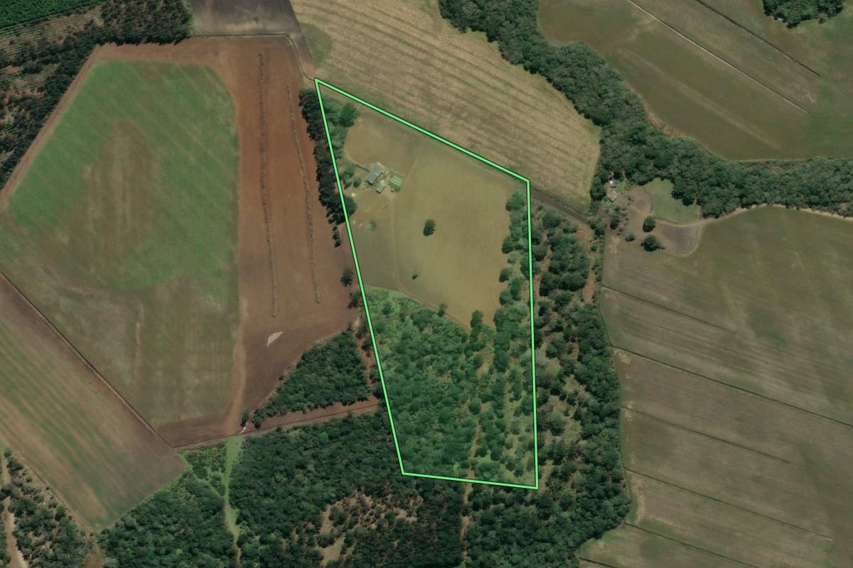 Imagem de satélite do imóvel rural em São Mateus do Sul (PR), com o contorno declarado no CAR desenhado por cima.