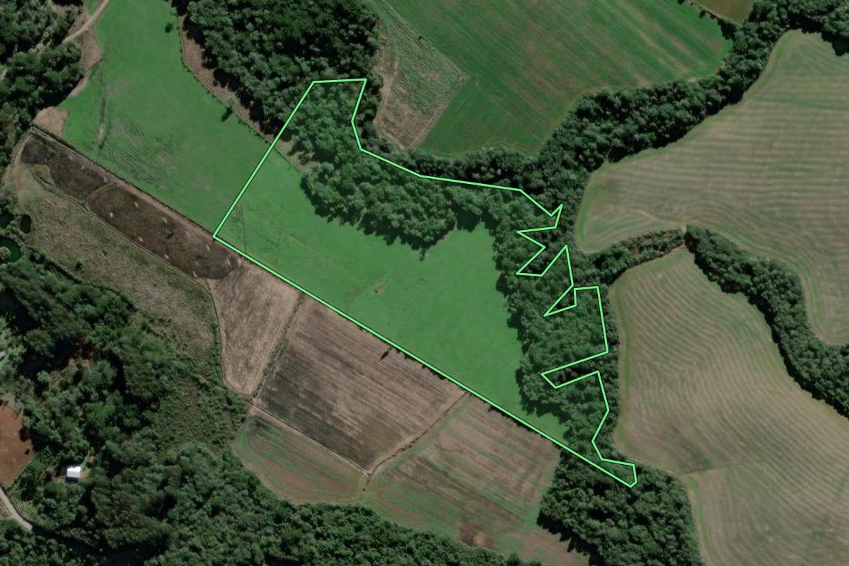 Imagem de satélite do imóvel rural em São Mateus do Sul (PR), com o contorno declarado no CAR desenhado por cima.