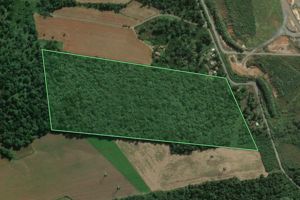 Imagem de satélite do imóvel rural em São Mateus do Sul (PR), com o contorno declarado no CAR desenhado por cima.