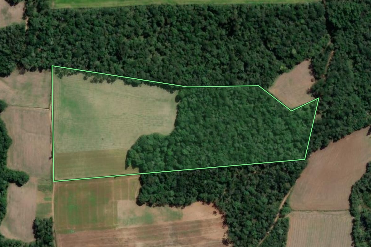 Imagem de satélite do imóvel rural em São Mateus do Sul (PR), com o contorno declarado no CAR desenhado por cima.