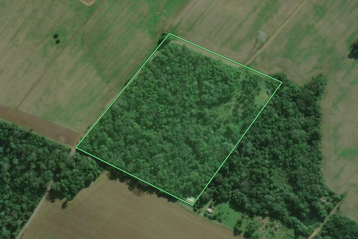 Imagem de satélite do imóvel rural em São Mateus do Sul (PR), com o contorno declarado no CAR desenhado por cima.