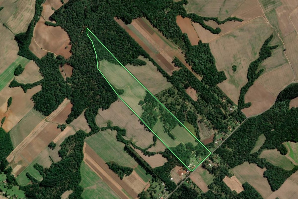 Imagem de satélite do imóvel rural em São Mateus do Sul (PR), com o contorno declarado no CAR desenhado por cima.