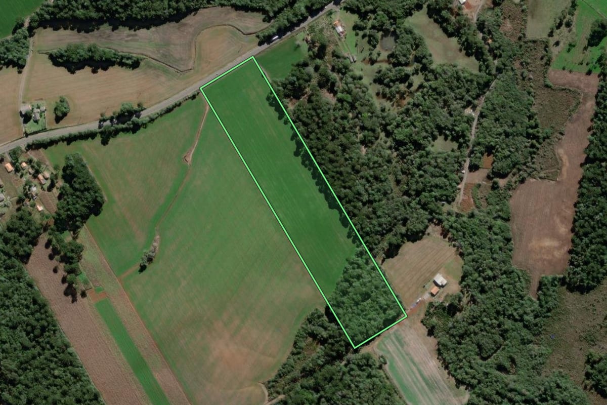 Imagem de satélite do imóvel rural em São Mateus do Sul (PR), com o contorno declarado no CAR desenhado por cima.
