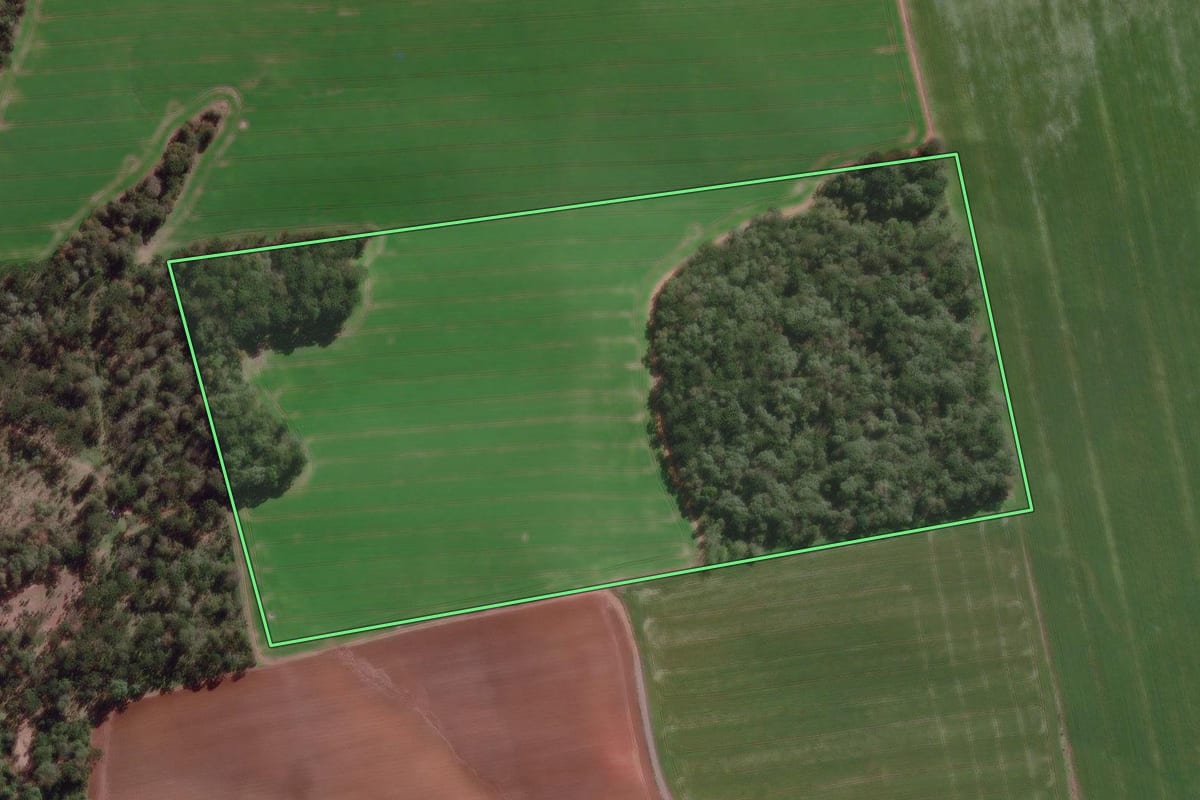 Imagem de satélite do imóvel rural em São Mateus do Sul (PR), com o contorno declarado no CAR desenhado por cima.