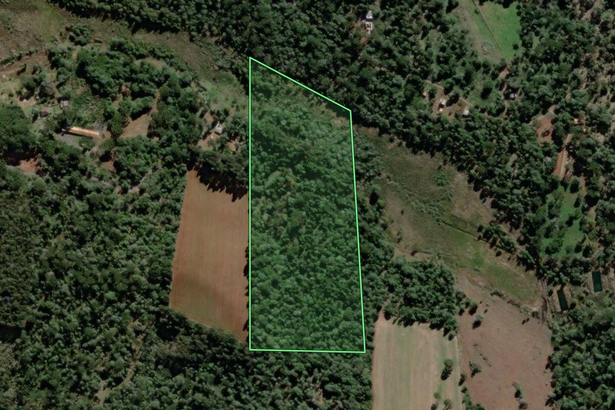 Imagem de satélite do imóvel rural em São Mateus do Sul (PR), com o contorno declarado no CAR desenhado por cima.