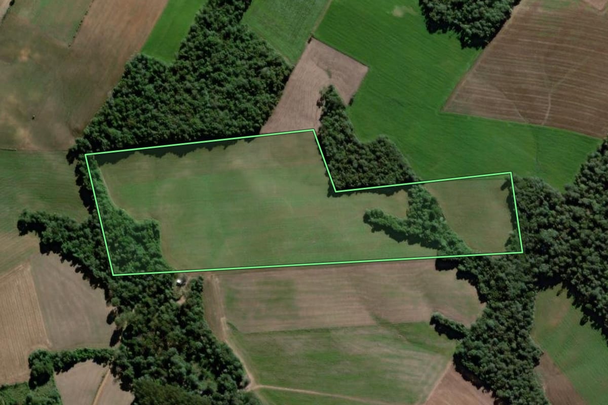 Imagem de satélite do imóvel rural em São Mateus do Sul (PR), com o contorno declarado no CAR desenhado por cima.