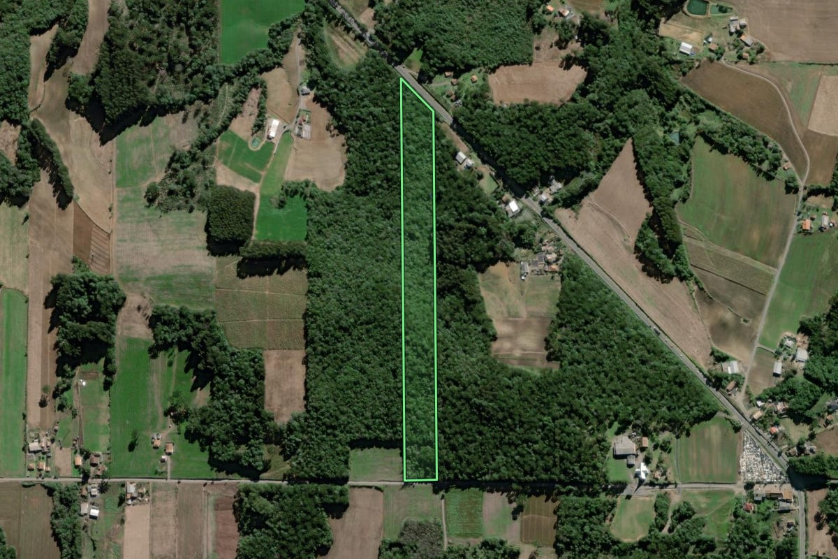 Imagem de satélite do imóvel rural em São Mateus do Sul (PR), com o contorno declarado no CAR desenhado por cima.
