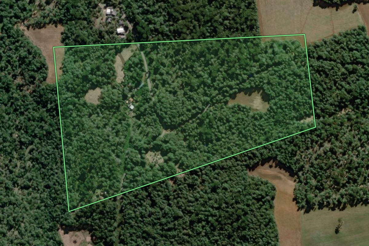 Imagem de satélite do imóvel rural em São Mateus do Sul (PR), com o contorno declarado no CAR desenhado por cima.