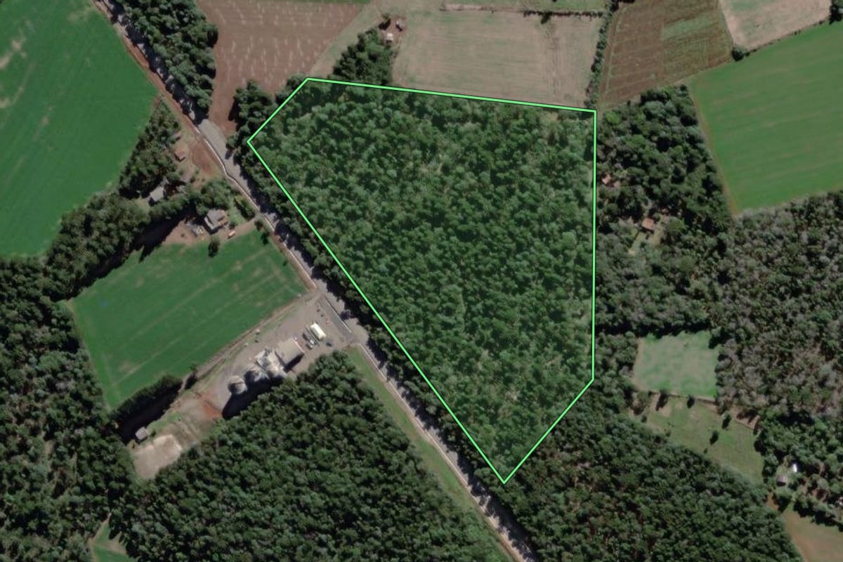 Imagem de satélite do imóvel rural em São Mateus do Sul (PR), com o contorno declarado no CAR desenhado por cima.