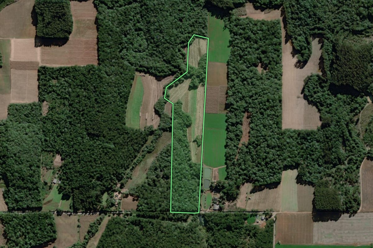 Imagem de satélite do imóvel rural em São Mateus do Sul (PR), com o contorno declarado no CAR desenhado por cima.