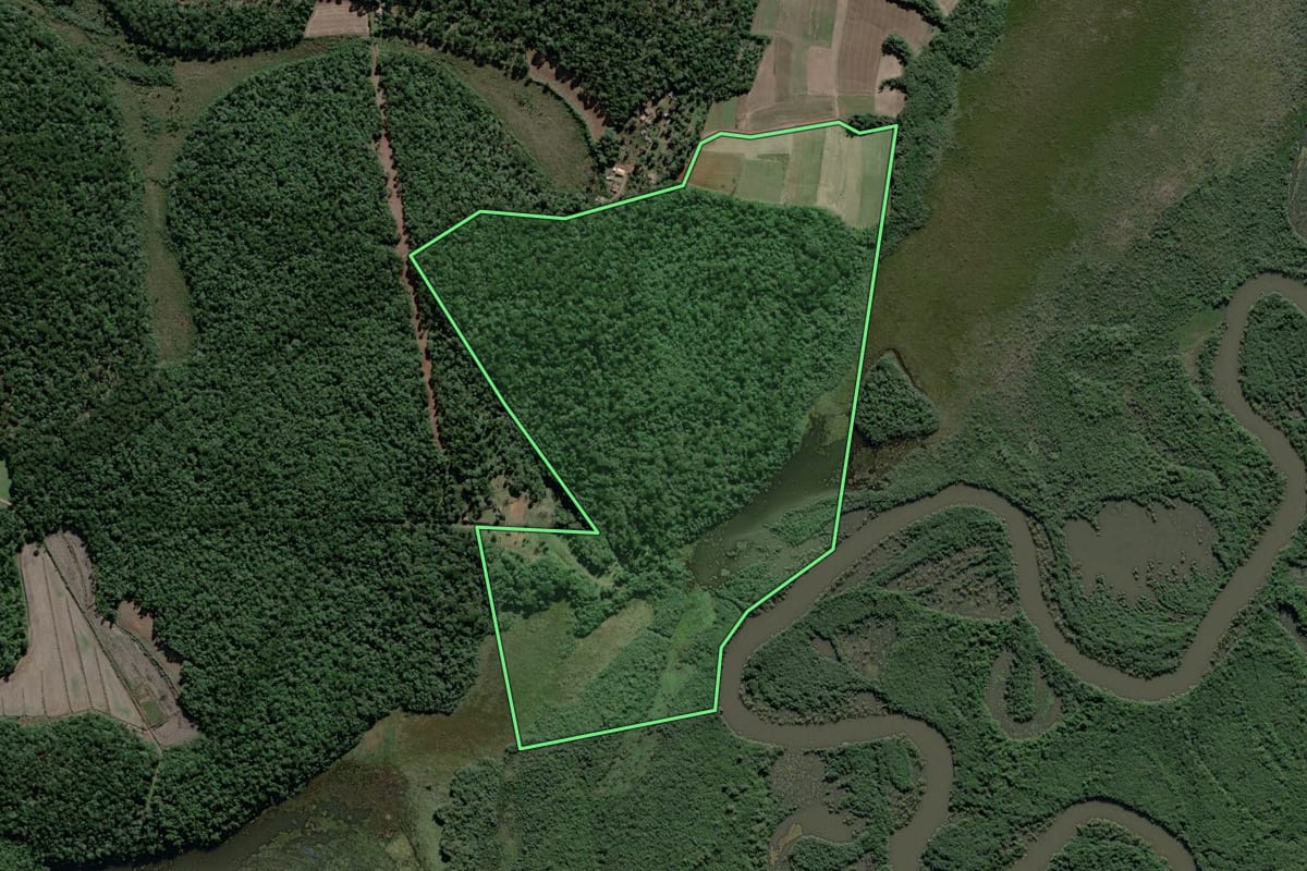 Imagem de satélite do imóvel rural em São Mateus do Sul (PR), com o contorno declarado no CAR desenhado por cima.
