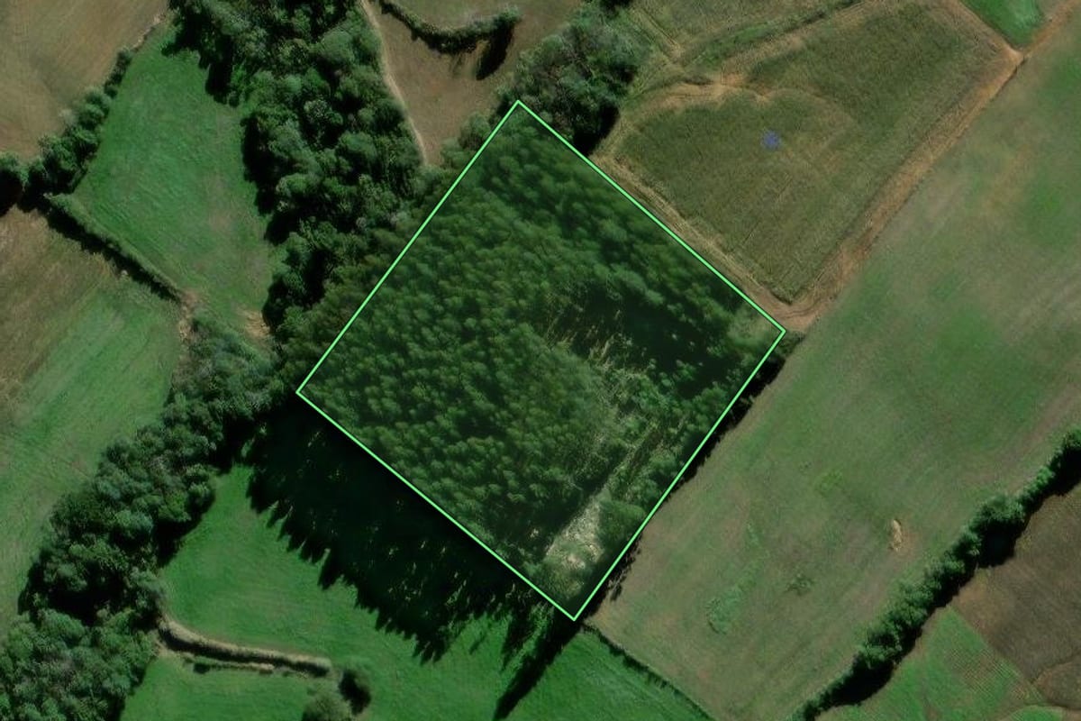 Imagem de satélite do imóvel rural em São Mateus do Sul (PR), com o contorno declarado no CAR desenhado por cima.