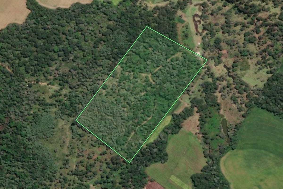 Imagem de satélite do imóvel rural em São Mateus do Sul (PR), com o contorno declarado no CAR desenhado por cima.