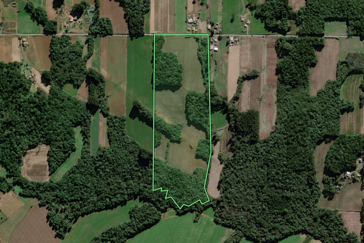 Imagem de satélite do imóvel rural em São Mateus do Sul (PR), com o contorno declarado no CAR desenhado por cima.