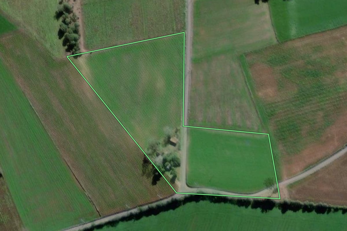 Imagem de satélite do imóvel rural em São Mateus do Sul (PR), com o contorno declarado no CAR desenhado por cima.