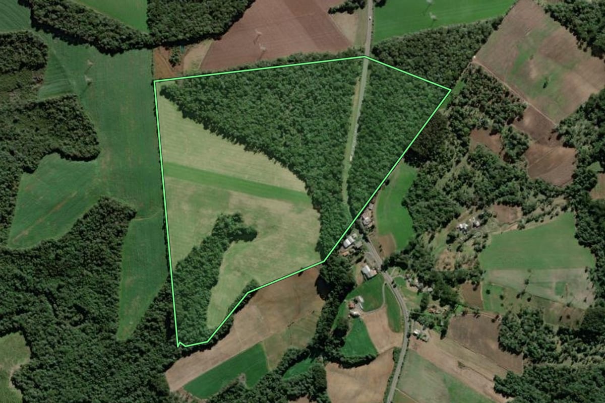Imagem de satélite do imóvel rural em São Mateus do Sul (PR), com o contorno declarado no CAR desenhado por cima.