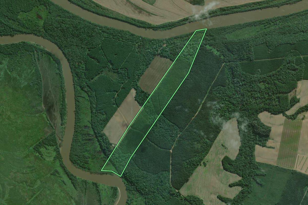 Imagem de satélite do imóvel rural em São Mateus do Sul (PR), com o contorno declarado no CAR desenhado por cima.