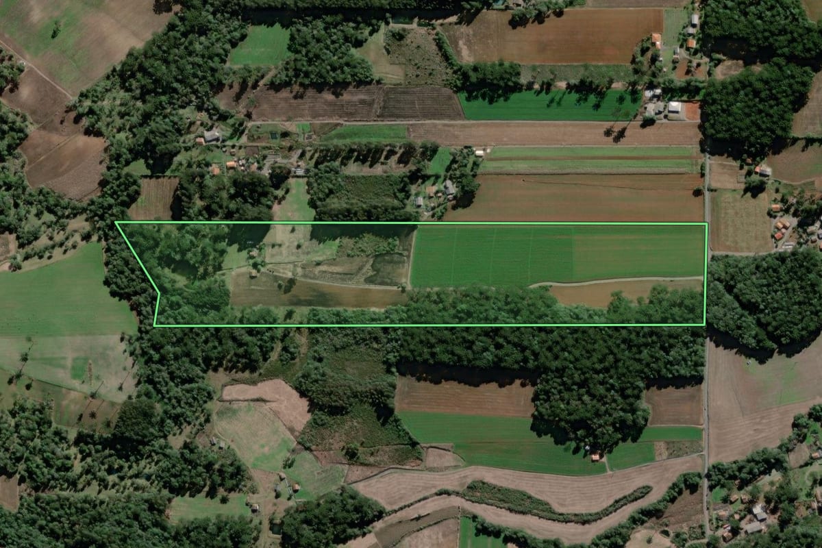 Imagem de satélite do imóvel rural em São Mateus do Sul (PR), com o contorno declarado no CAR desenhado por cima.