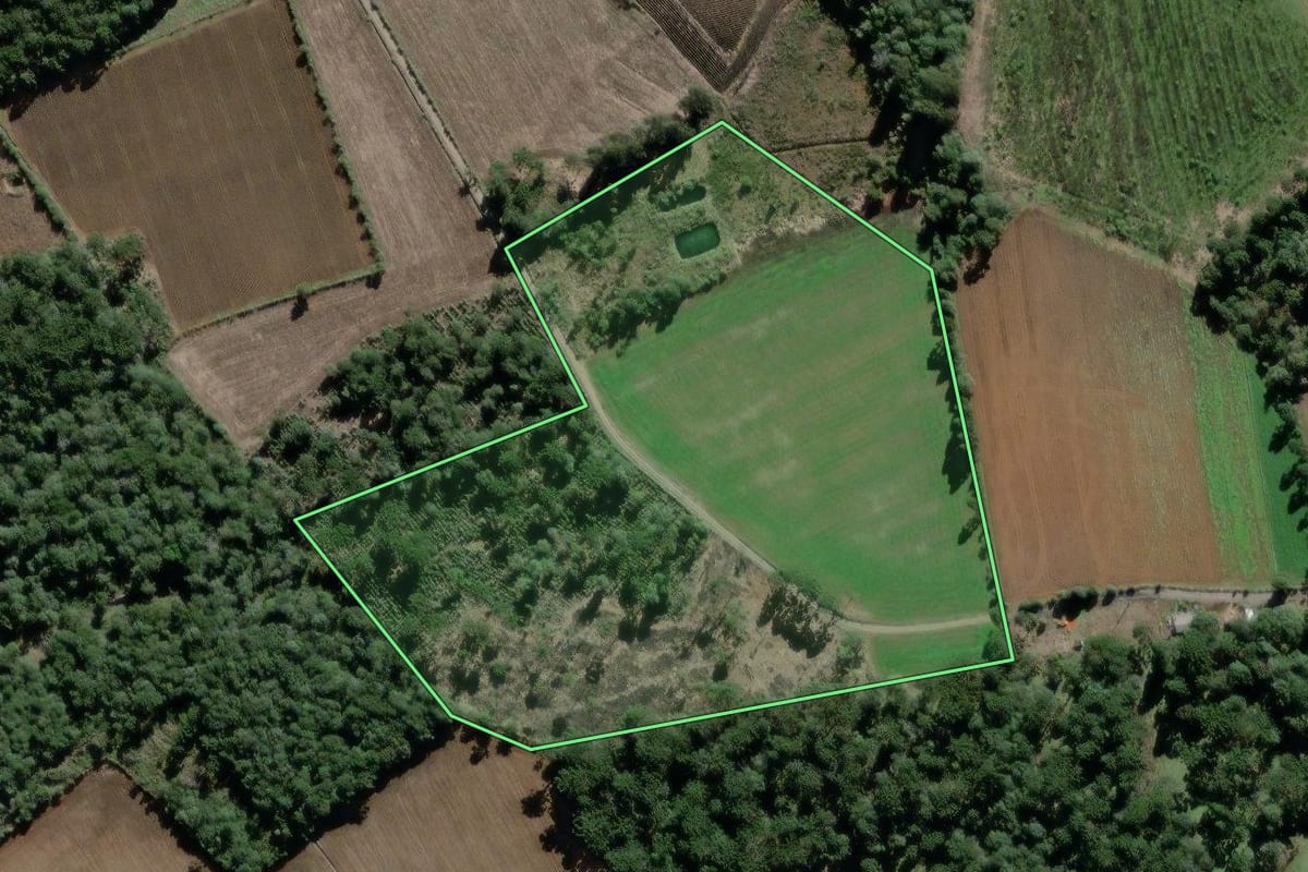 Imagem de satélite do imóvel rural em São Mateus do Sul (PR), com o contorno declarado no CAR desenhado por cima.