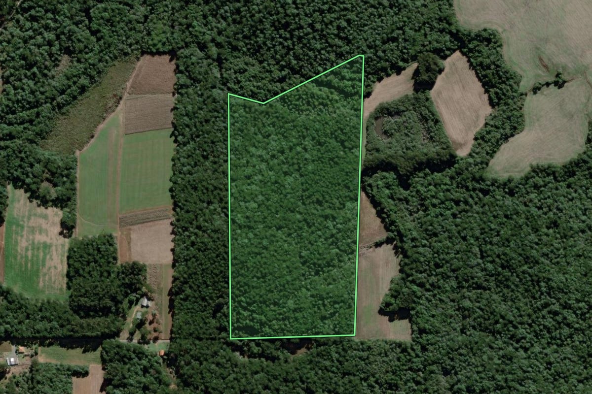 Imagem de satélite do imóvel rural em São Mateus do Sul (PR), com o contorno declarado no CAR desenhado por cima.