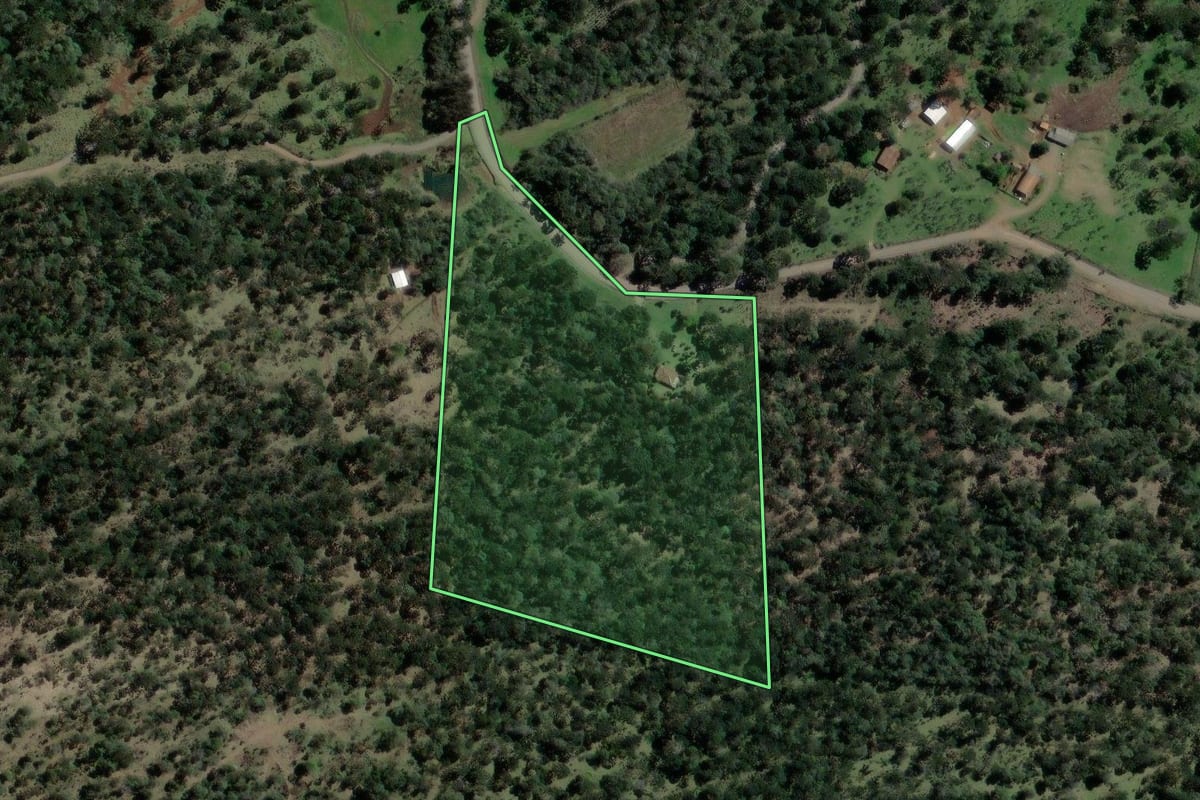 Imagem de satélite do imóvel rural em São Mateus do Sul (PR), com o contorno declarado no CAR desenhado por cima.