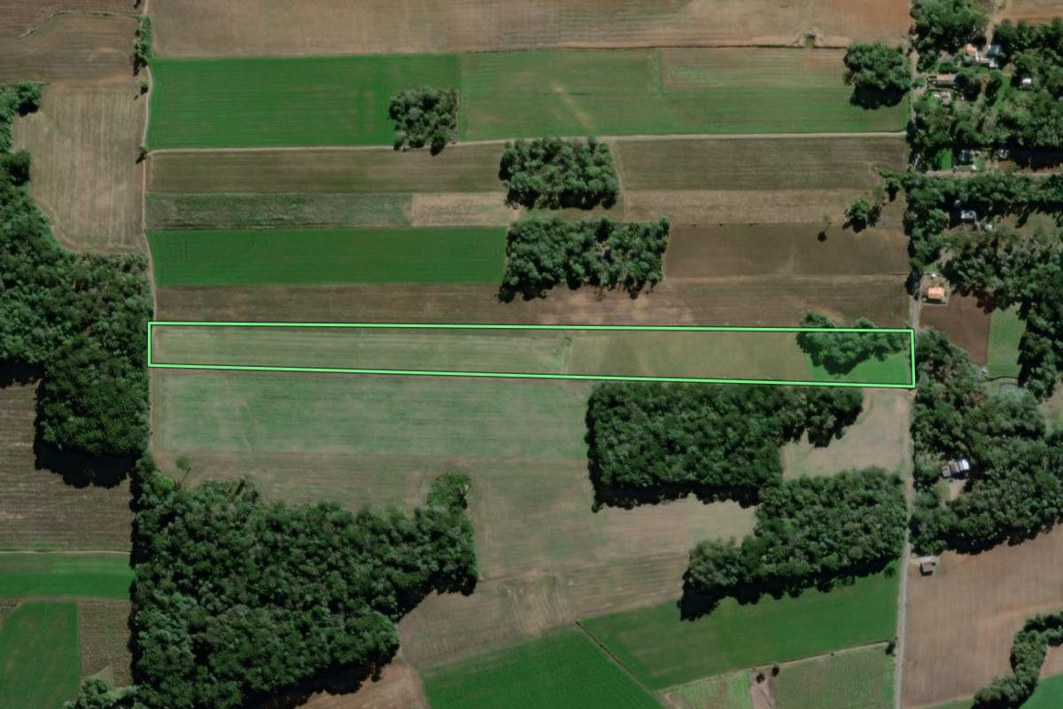 Imagem de satélite do imóvel rural em São Mateus do Sul (PR), com o contorno declarado no CAR desenhado por cima.