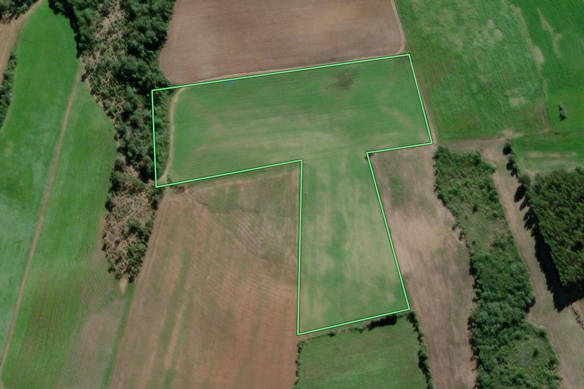 Imagem de satélite do imóvel rural em São Mateus do Sul (PR), com o contorno declarado no CAR desenhado por cima.