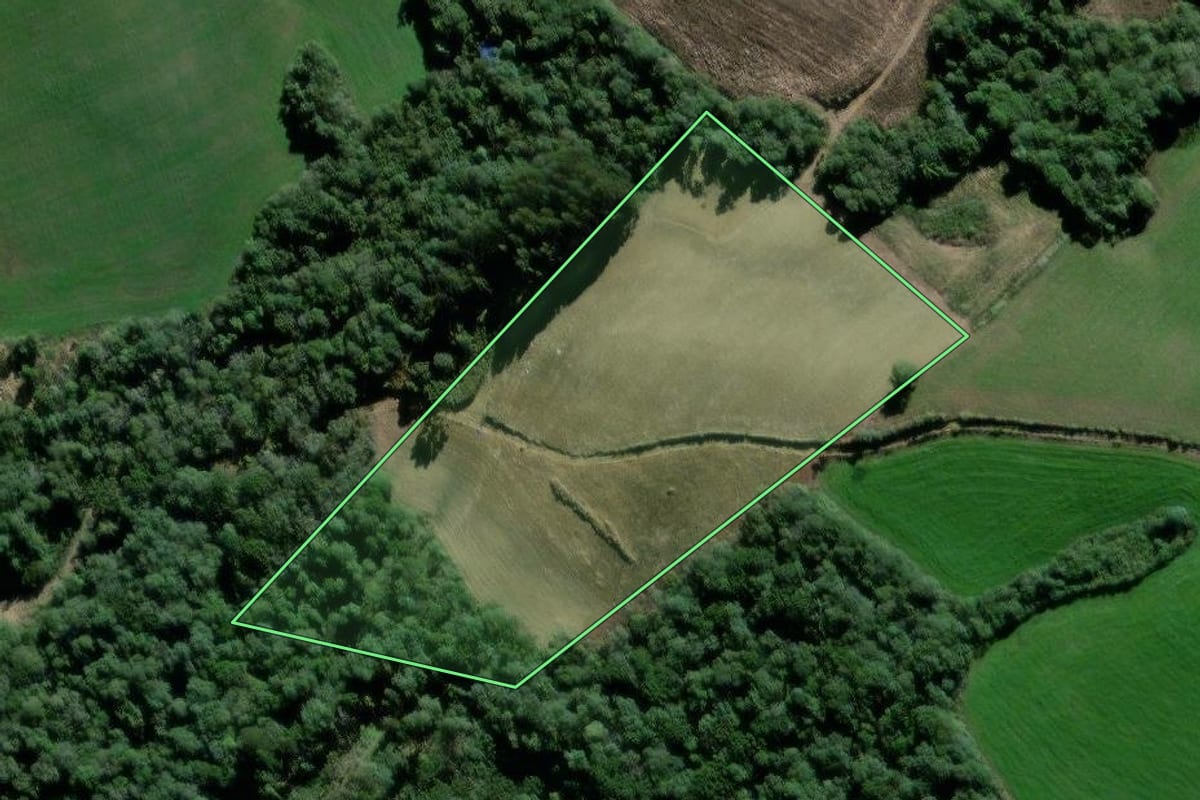 Imagem de satélite do imóvel rural em São Mateus do Sul (PR), com o contorno declarado no CAR desenhado por cima.