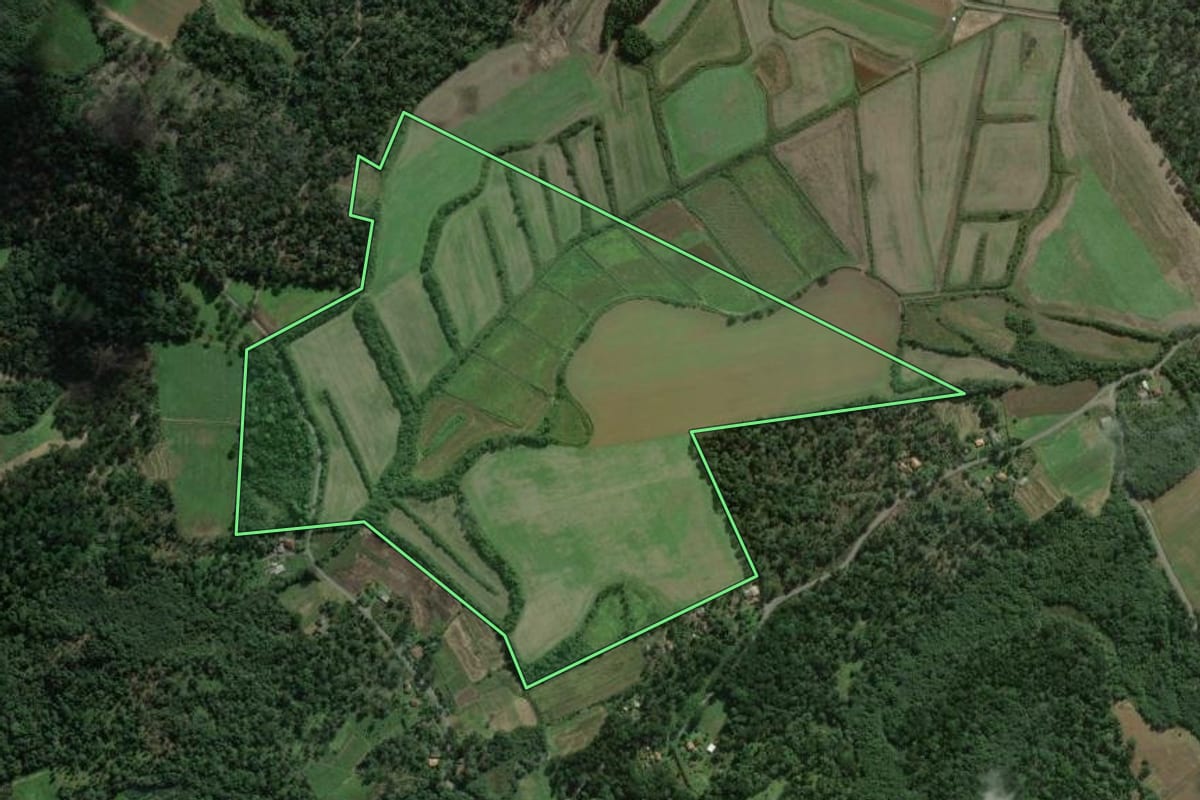 Imagem de satélite do imóvel rural em São Mateus do Sul (PR), com o contorno declarado no CAR desenhado por cima.