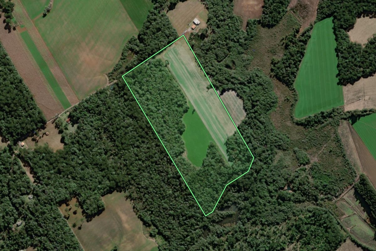 Imagem de satélite do imóvel rural em São Mateus do Sul (PR), com o contorno declarado no CAR desenhado por cima.