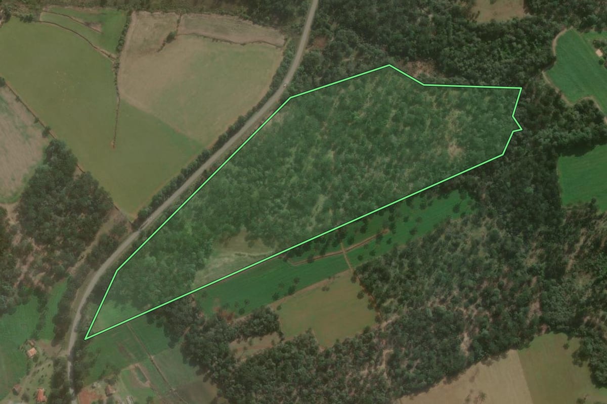 Imagem de satélite do imóvel rural em São Mateus do Sul (PR), com o contorno declarado no CAR desenhado por cima.