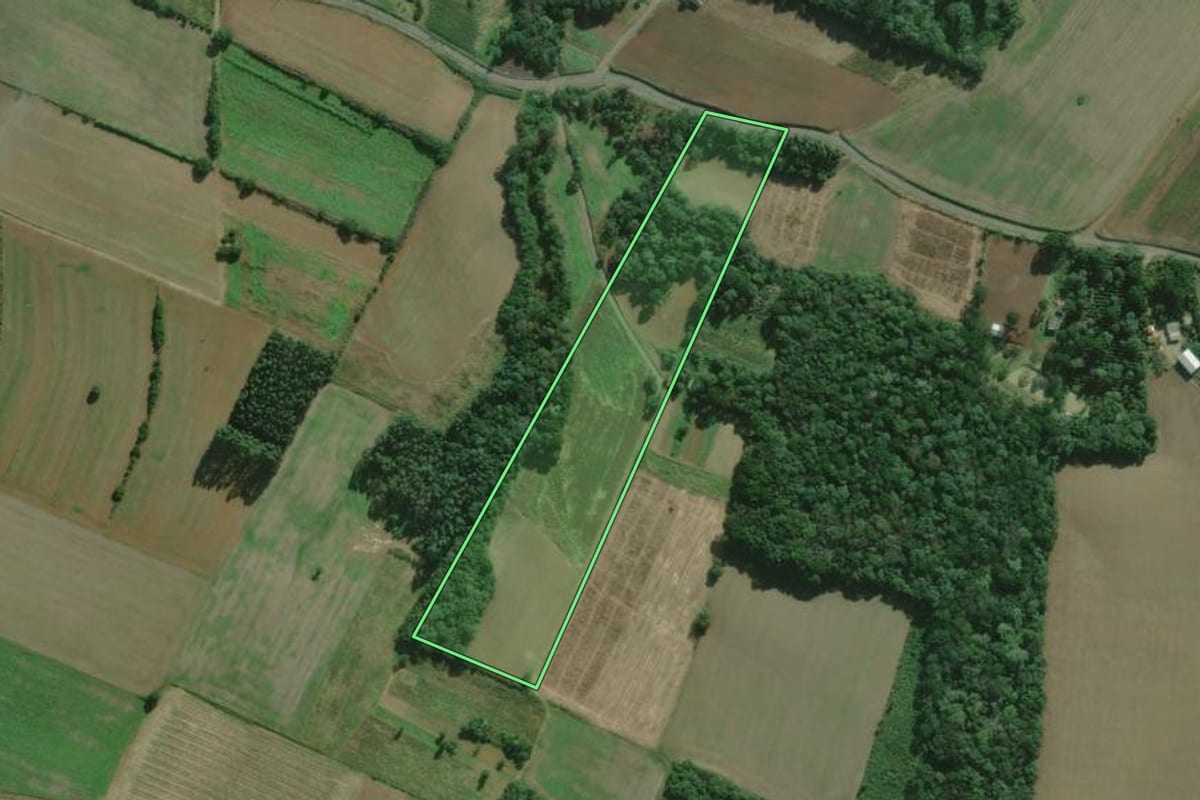 Imagem de satélite do imóvel rural em São Mateus do Sul (PR), com o contorno declarado no CAR desenhado por cima.