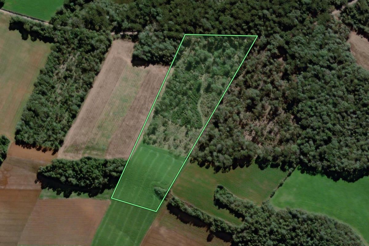 Imagem de satélite do imóvel rural em São Mateus do Sul (PR), com o contorno declarado no CAR desenhado por cima.