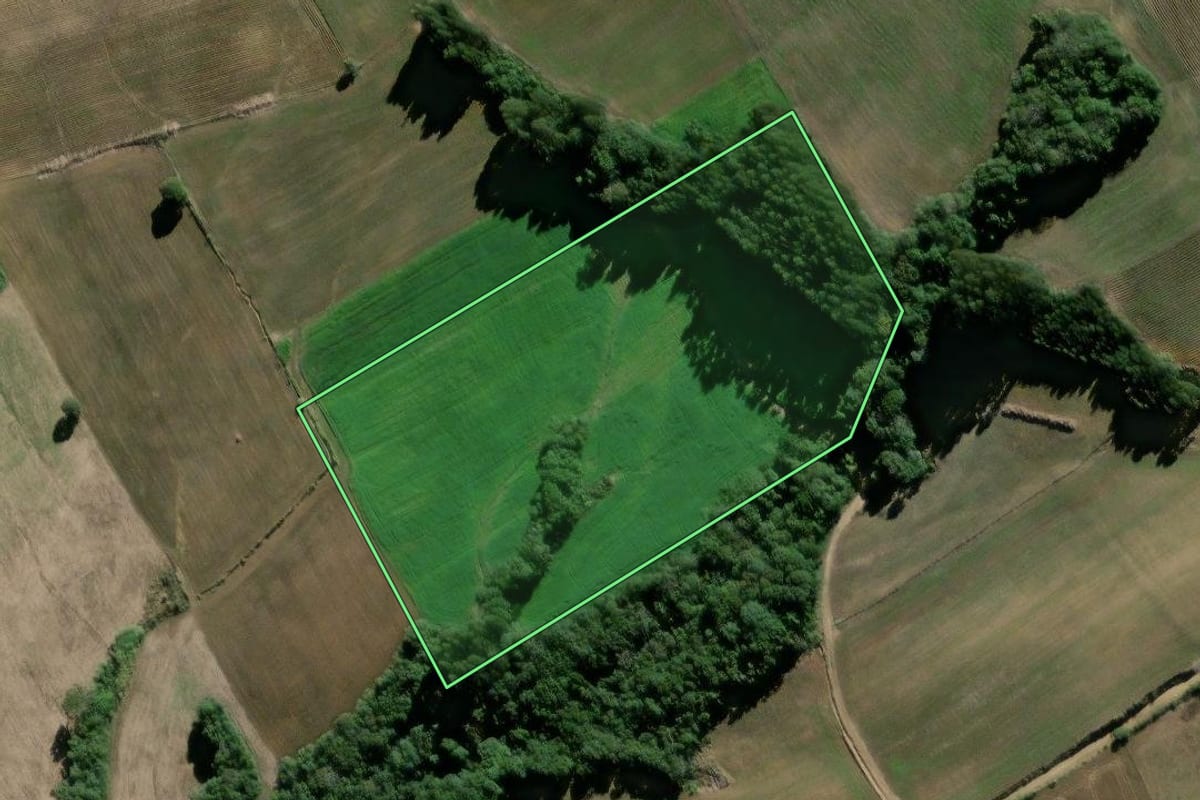 Imagem de satélite do imóvel rural em São Mateus do Sul (PR), com o contorno declarado no CAR desenhado por cima.