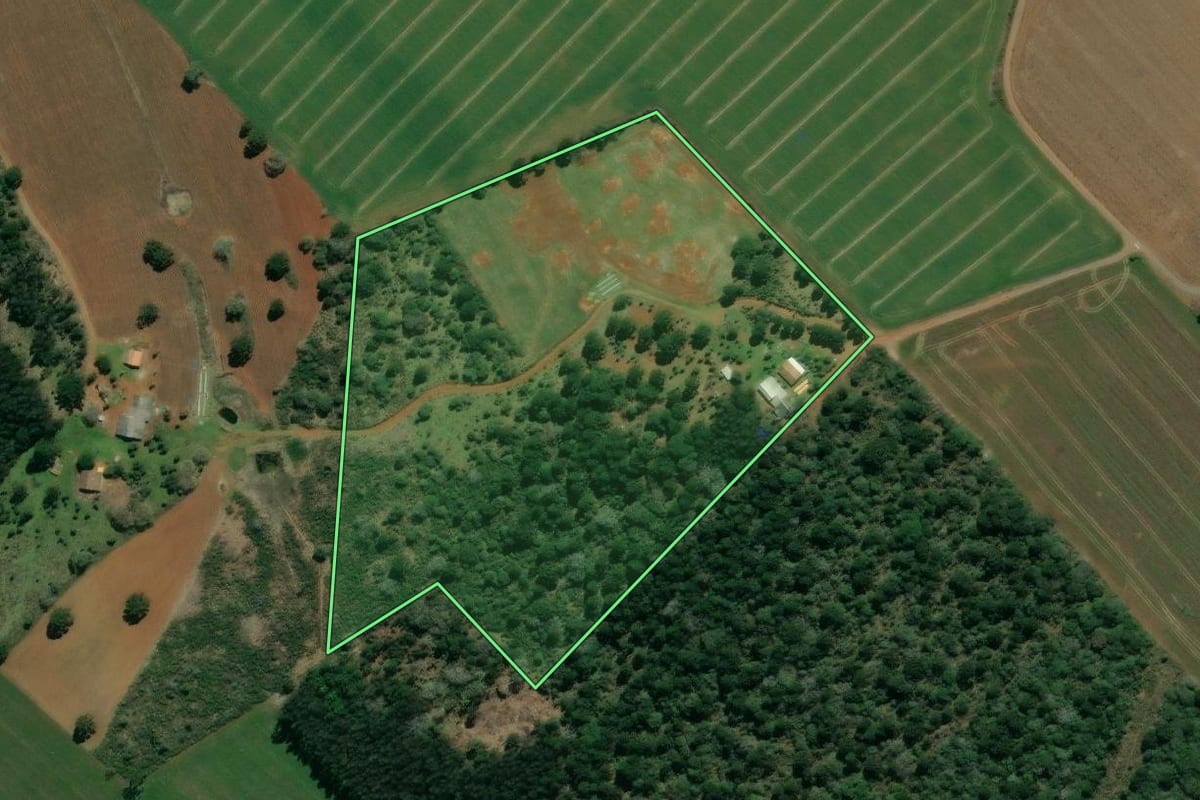 Imagem de satélite do imóvel rural em São Mateus do Sul (PR), com o contorno declarado no CAR desenhado por cima.