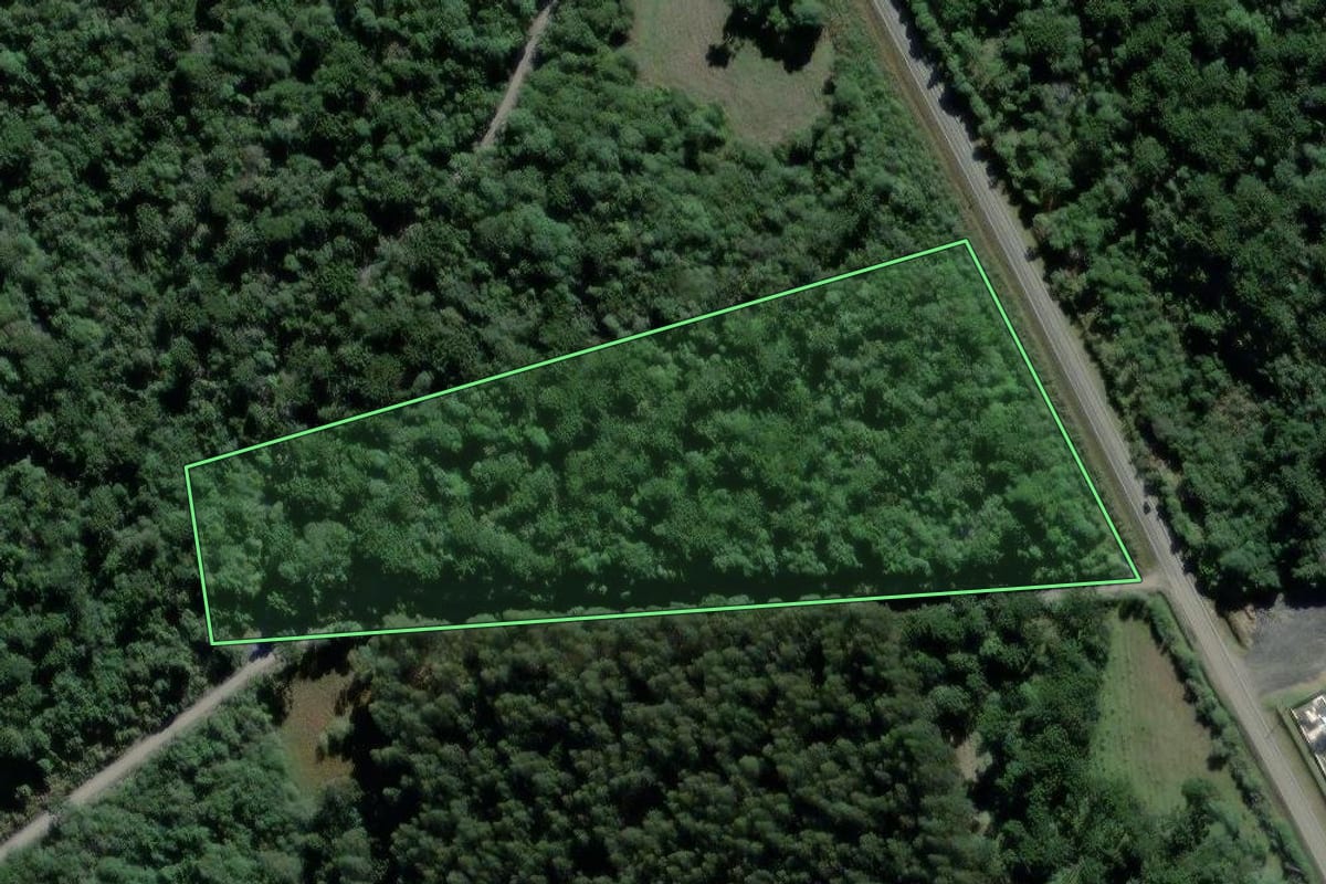 Imagem de satélite do imóvel rural em São Mateus do Sul (PR), com o contorno declarado no CAR desenhado por cima.