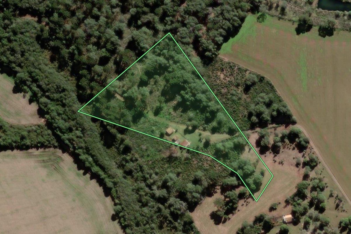 Imagem de satélite do imóvel rural em São Mateus do Sul (PR), com o contorno declarado no CAR desenhado por cima.
