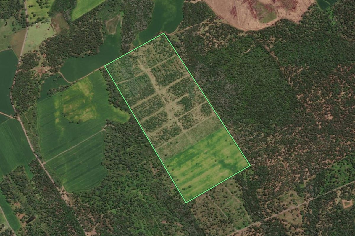 Imagem de satélite do imóvel rural em São Mateus do Sul (PR), com o contorno declarado no CAR desenhado por cima.