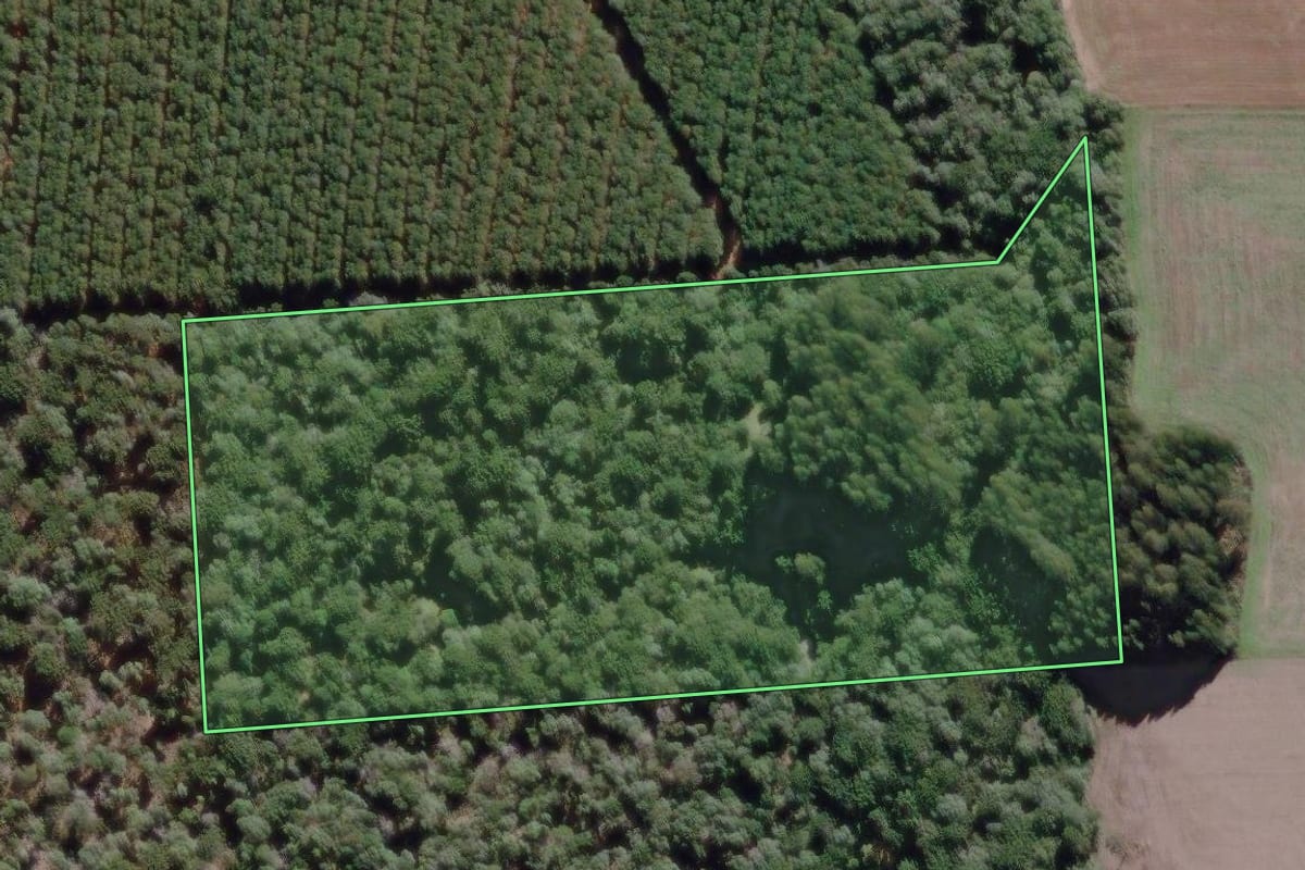 Imagem de satélite do imóvel rural em São Mateus do Sul (PR), com o contorno declarado no CAR desenhado por cima.