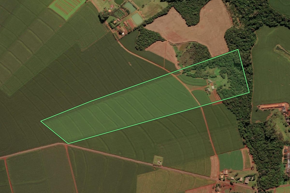 Imagem de satélite do imóvel rural em São Miguel do Iguaçu (PR), com o contorno declarado no CAR desenhado por cima.