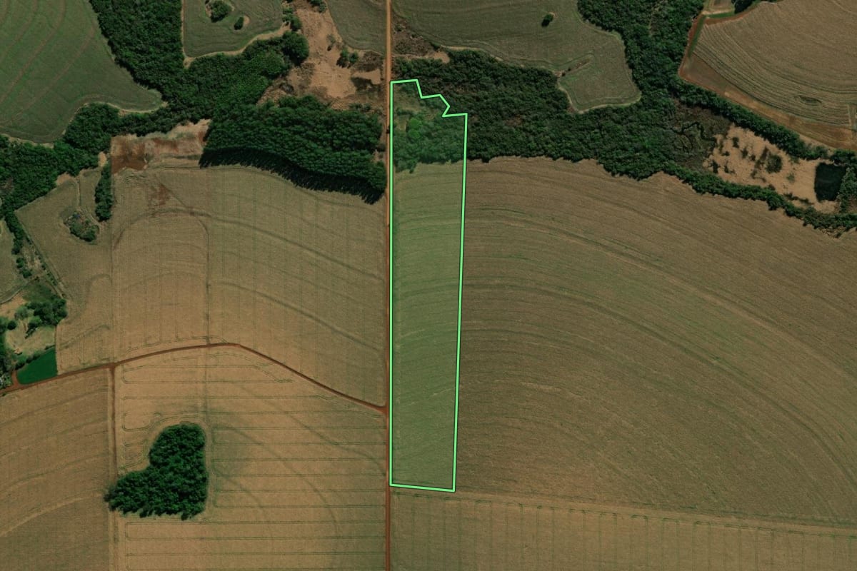 Imagem de satélite do imóvel rural em São Miguel do Iguaçu (PR), com o contorno declarado no CAR desenhado por cima.