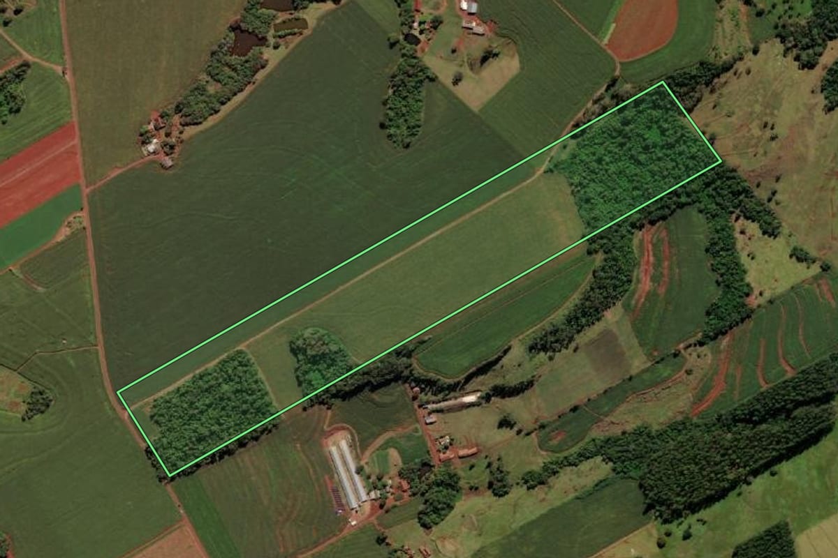 Imagem de satélite do imóvel rural em São Miguel do Iguaçu (PR), com o contorno declarado no CAR desenhado por cima.