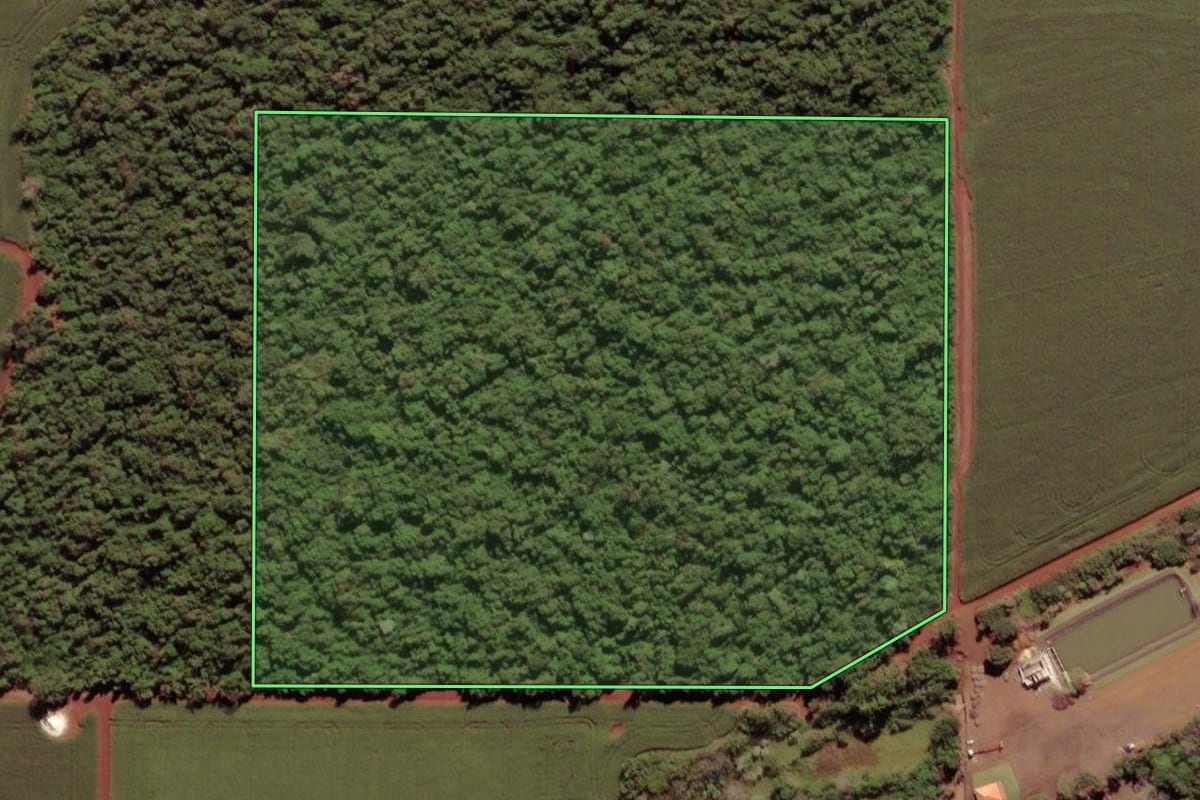 Imagem de satélite do imóvel rural em São Miguel do Iguaçu (PR), com o contorno declarado no CAR desenhado por cima.