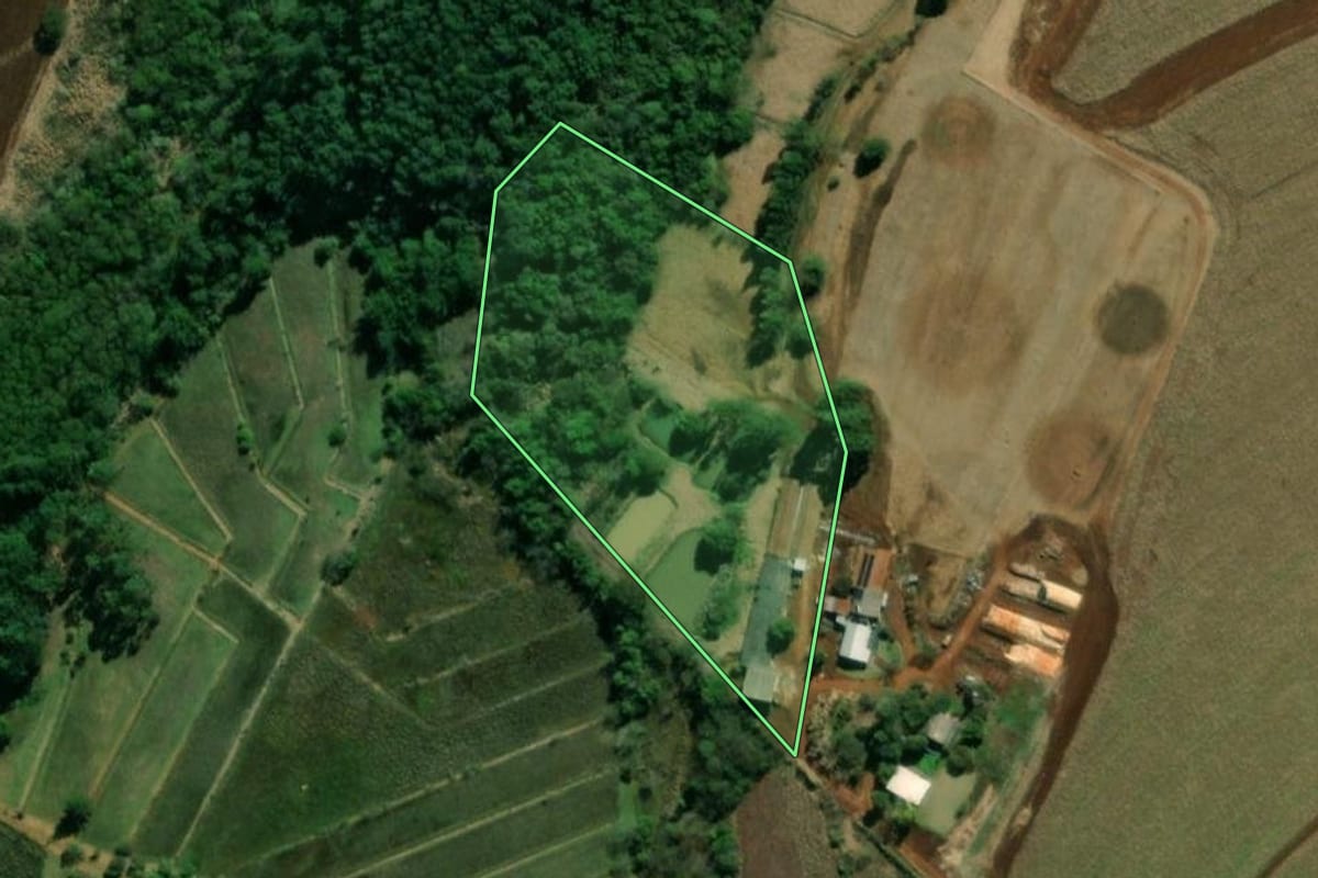 Imagem de satélite do imóvel rural em São Miguel do Iguaçu (PR), com o contorno declarado no CAR desenhado por cima.