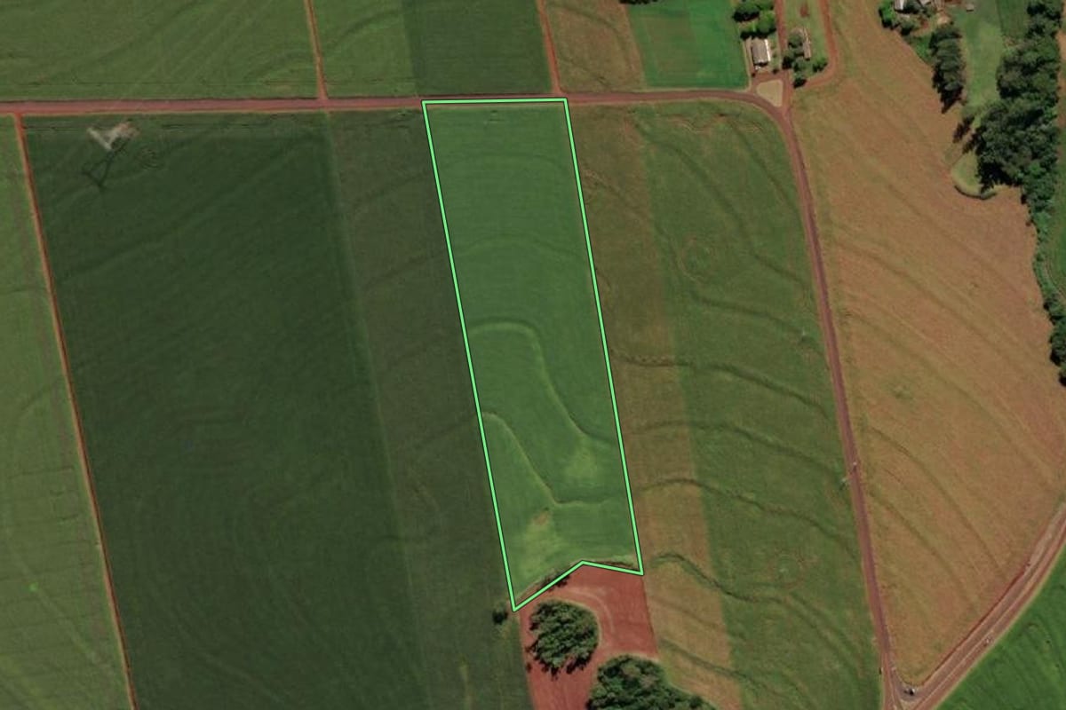 Imagem de satélite do imóvel rural em São Miguel do Iguaçu (PR), com o contorno declarado no CAR desenhado por cima.