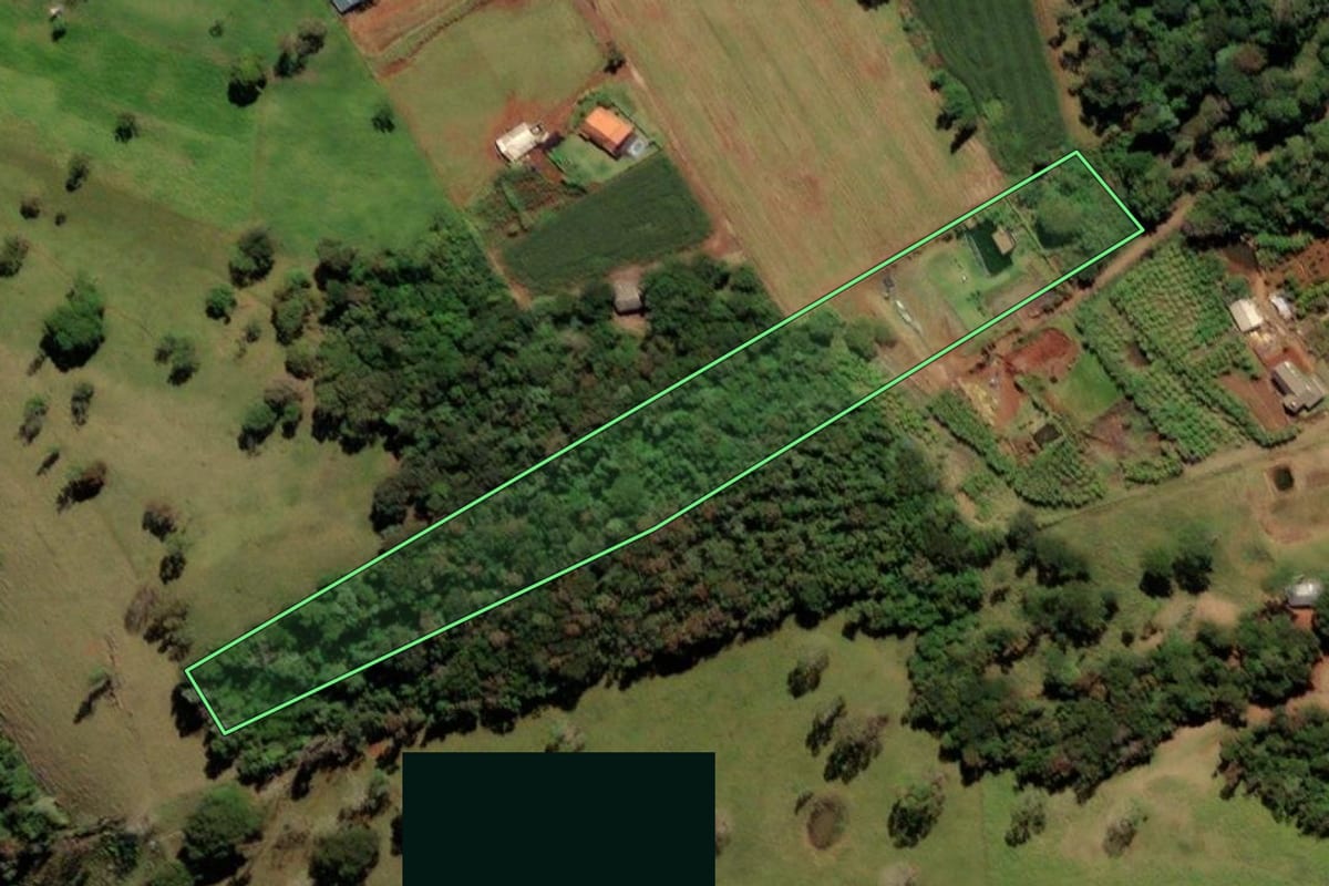 Imagem de satélite do imóvel rural em São Miguel do Iguaçu (PR), com o contorno declarado no CAR desenhado por cima.