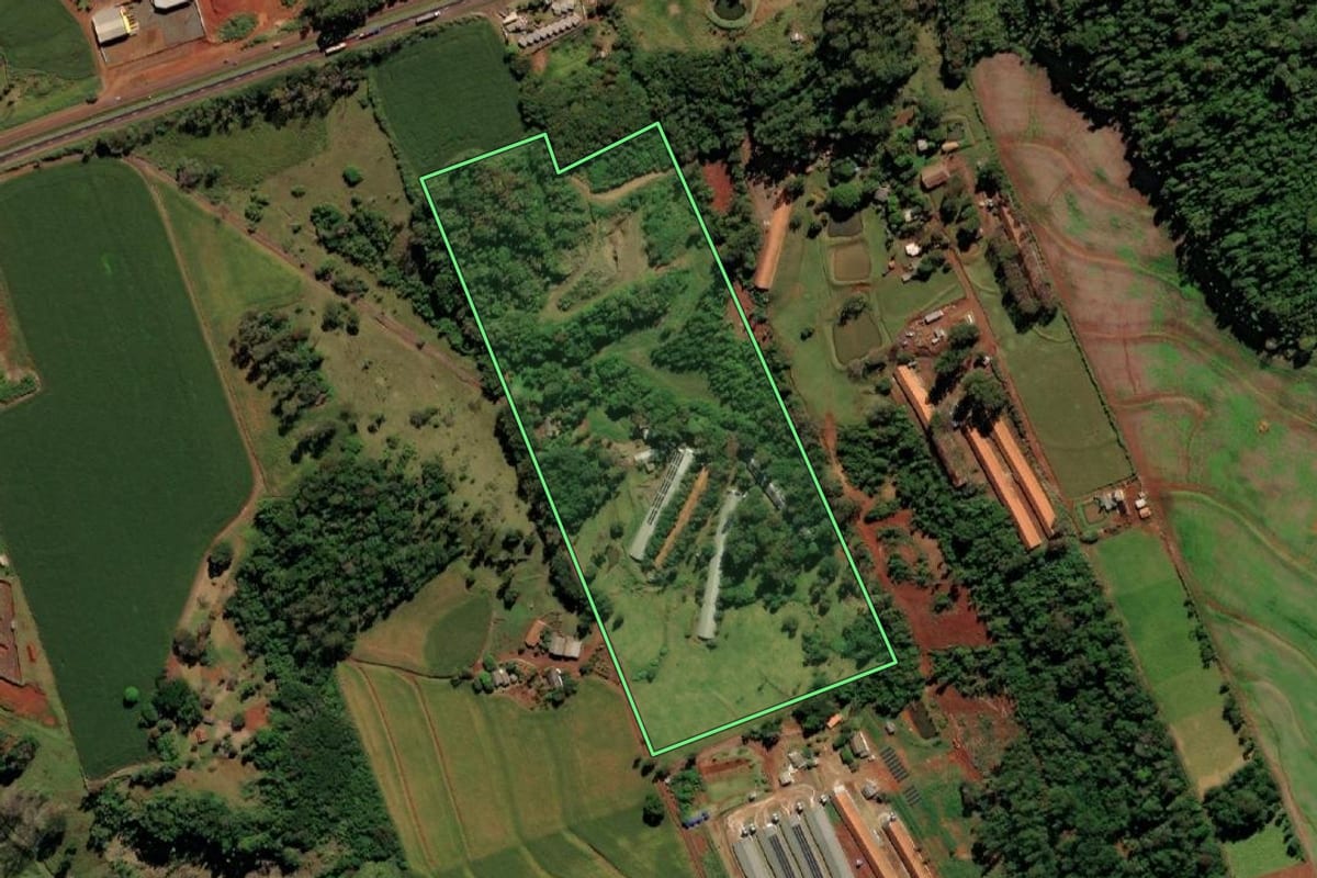 Imagem de satélite do imóvel rural em São Miguel do Iguaçu (PR), com o contorno declarado no CAR desenhado por cima.