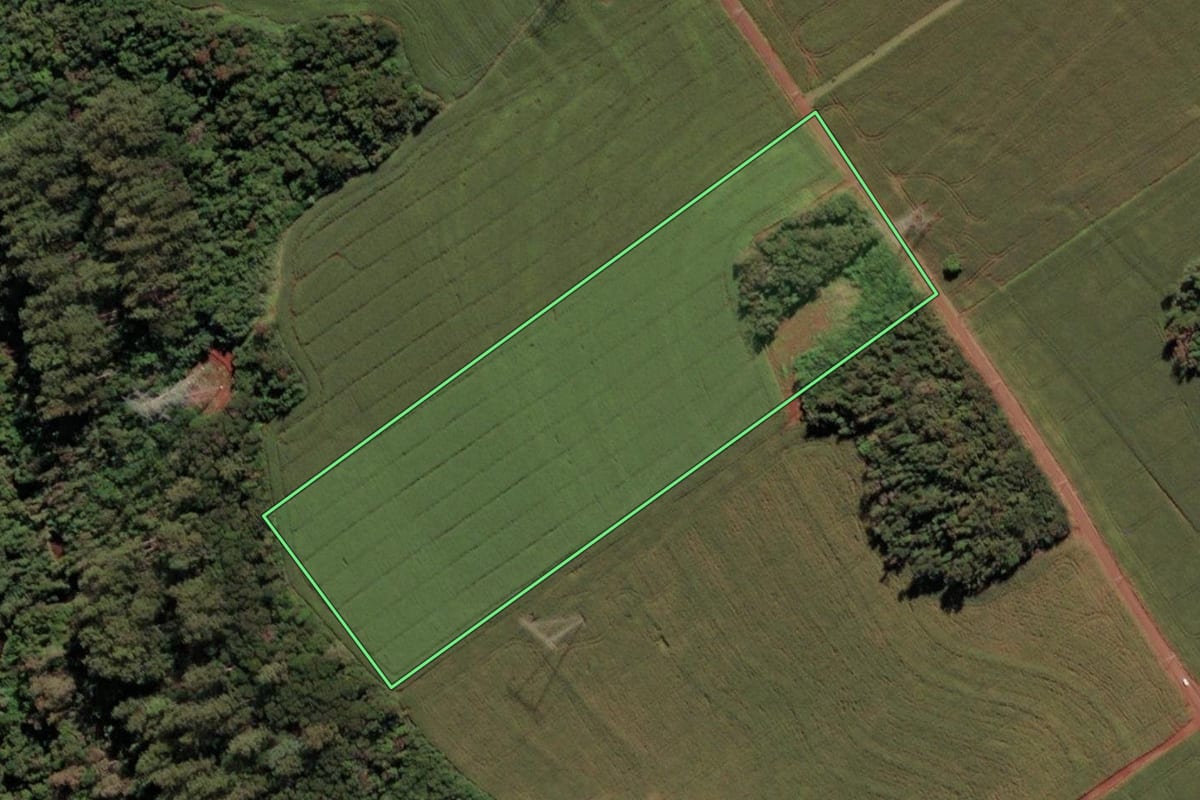 Imagem de satélite do imóvel rural em São Miguel do Iguaçu (PR), com o contorno declarado no CAR desenhado por cima.